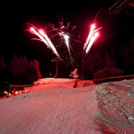 Bouillets Mountain&garden Chalet 12 Pers Chalet Veysonnaz